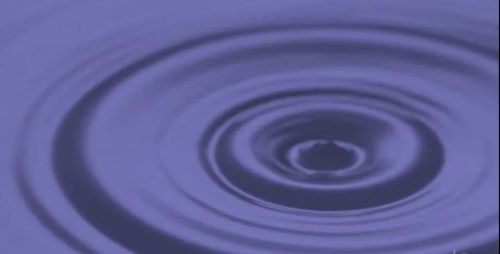 1626064652112325.jpg 2.jpg
